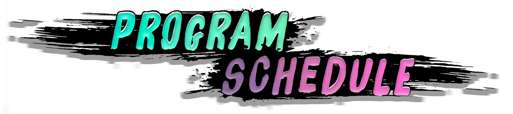 Program Schedule
